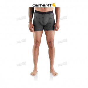 Carhartt 5 Basic Boxer Brief Printed 2-Pack SUPER DUX | IN0002629