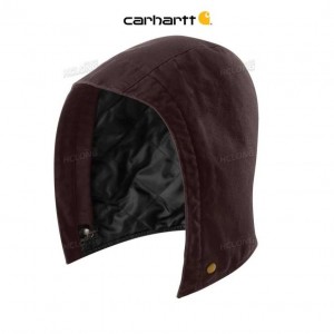 Carhartt Washed Duck Insulated Hood Dark Brown | IN0002605