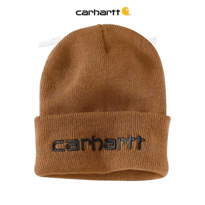 Carhartt Knit Insulated Logo Graphic Cuffed Beanie Brown | IN0002241