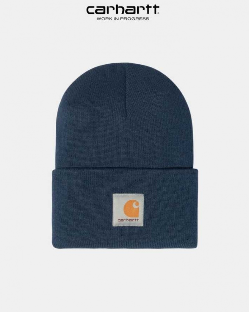 Carhartt Wip x Quartersnacks Watch Hat Blue | IN0002577