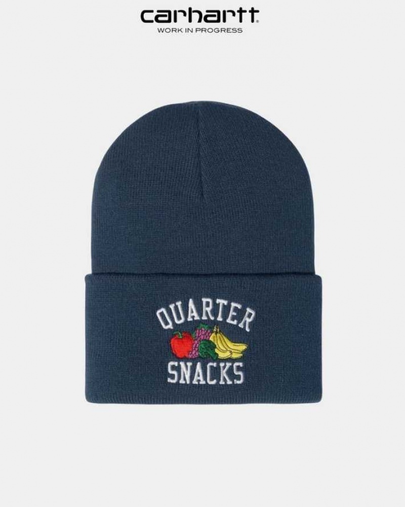 Carhartt Wip x Quartersnacks Watch Hat Blue | IN0002577